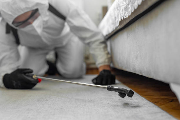 Professional Termite Control technician working in Roscoe, IL