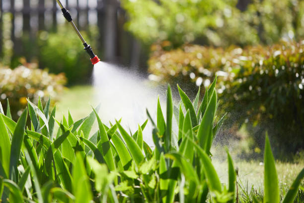 24/7 Emergency Termite Control experts in Roscoe, IL
